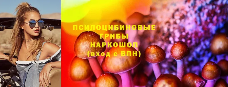 Псилоцибиновые грибы Psilocybine cubensis  дарнет шоп  Ярцево 